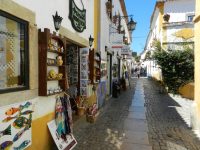 Visita guiada en Óbidos